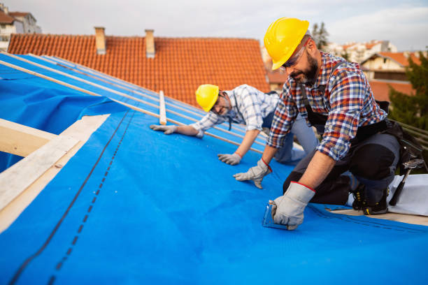 Best Roof Ventilation Installation  in Littlefield, TX