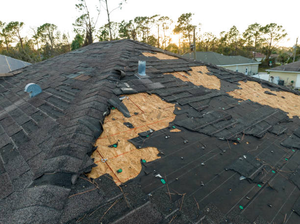 Best Storm Damage Roof Repair  in Littlefield, TX